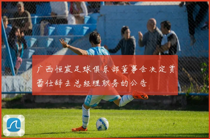 广西恒宸足球俱乐部董事会决定贾蕾仕辞去总经理职务的公告