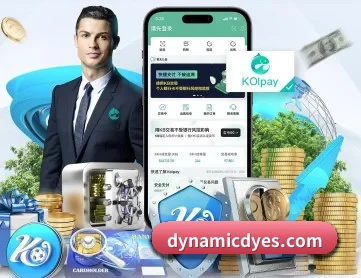6686在线登录入口 APP 深度功能